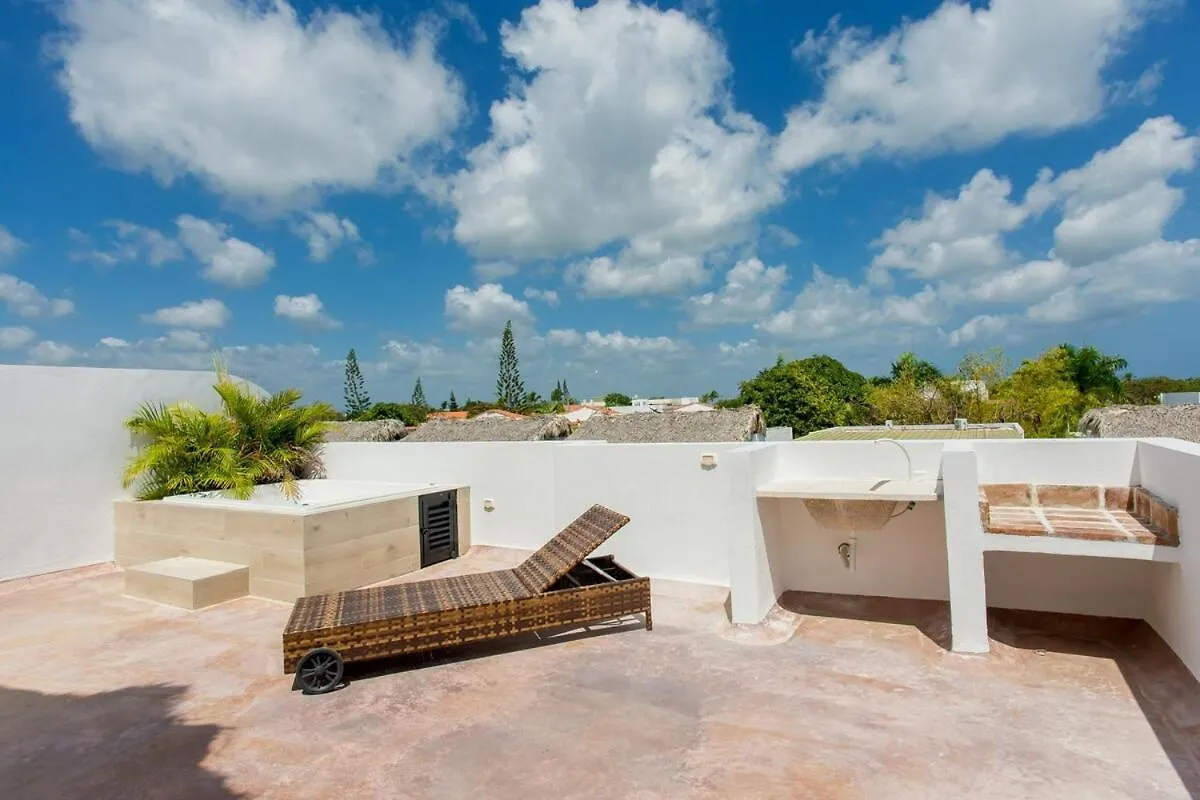 Penthouse With Jacuzzi In Ibiza, 蓬塔卡纳 公寓
