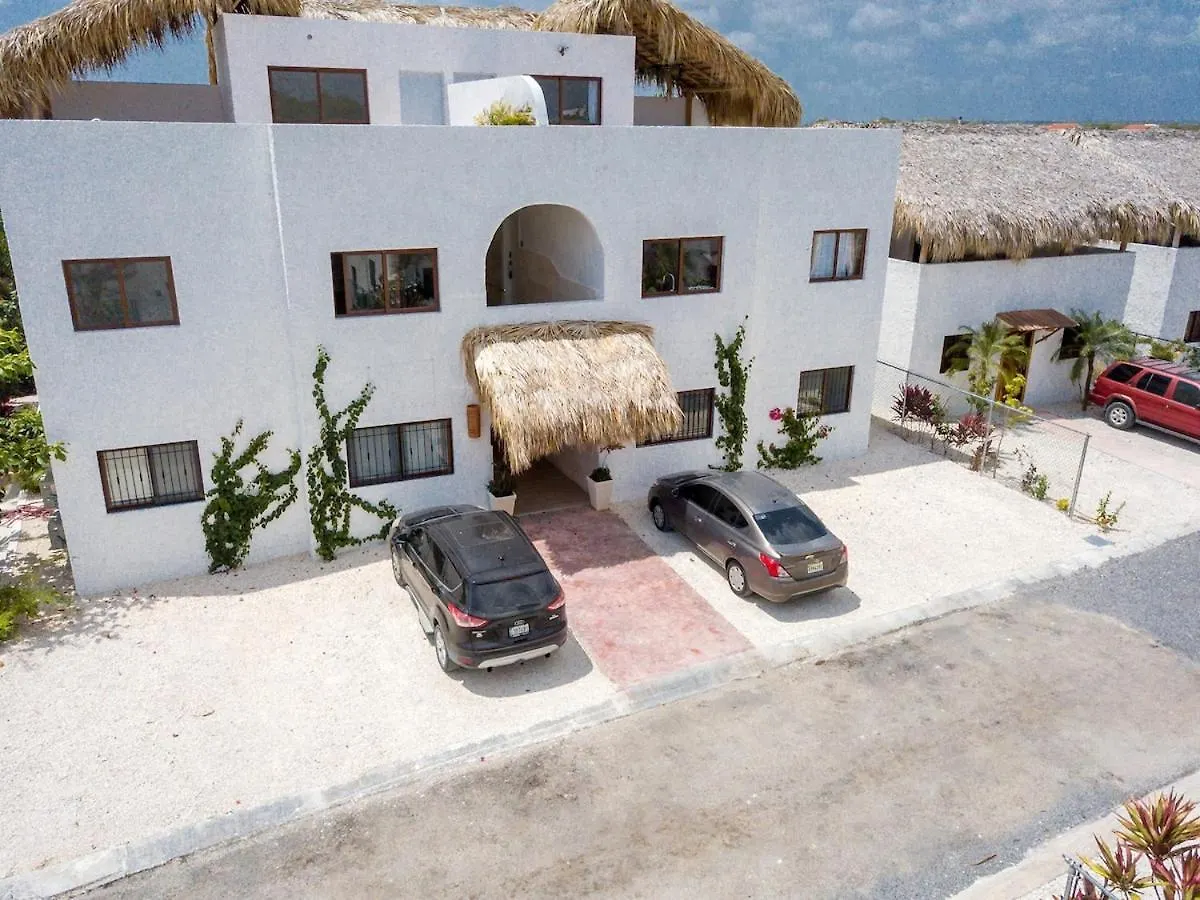 公寓 Penthouse With Jacuzzi In Ibiza, 蓬塔卡纳