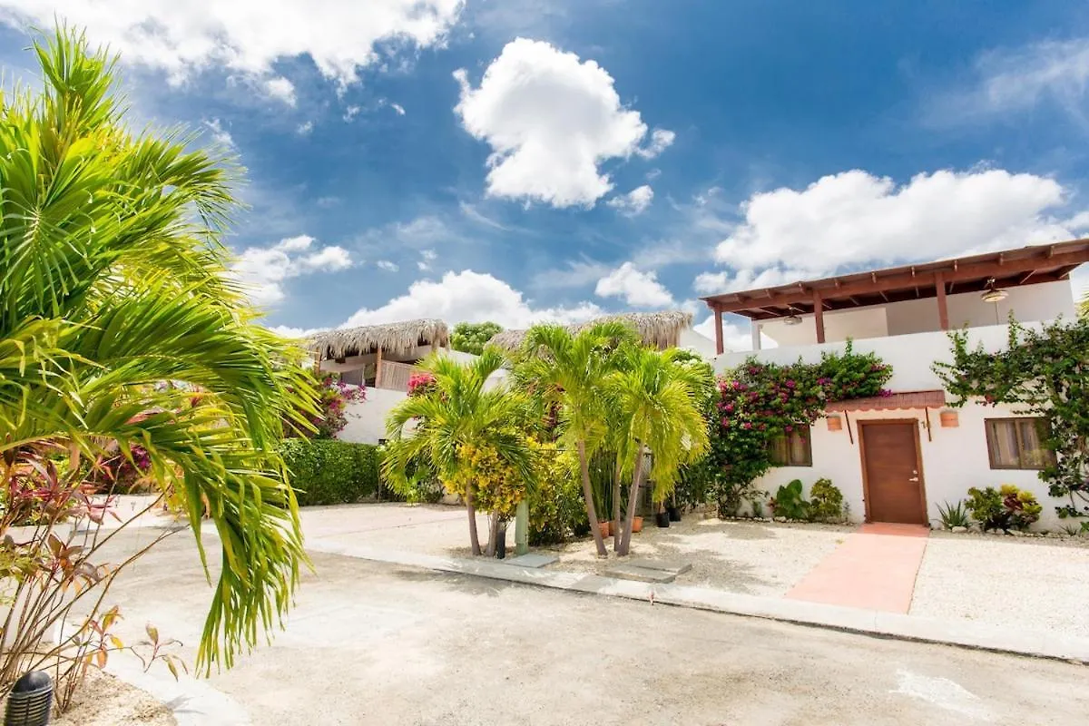 Penthouse With Jacuzzi In Ibiza, 蓬塔卡纳 多米尼加共和国