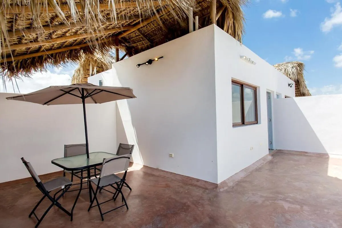Penthouse With Jacuzzi In Ibiza, 蓬塔卡纳 0*,  多米尼加共和国