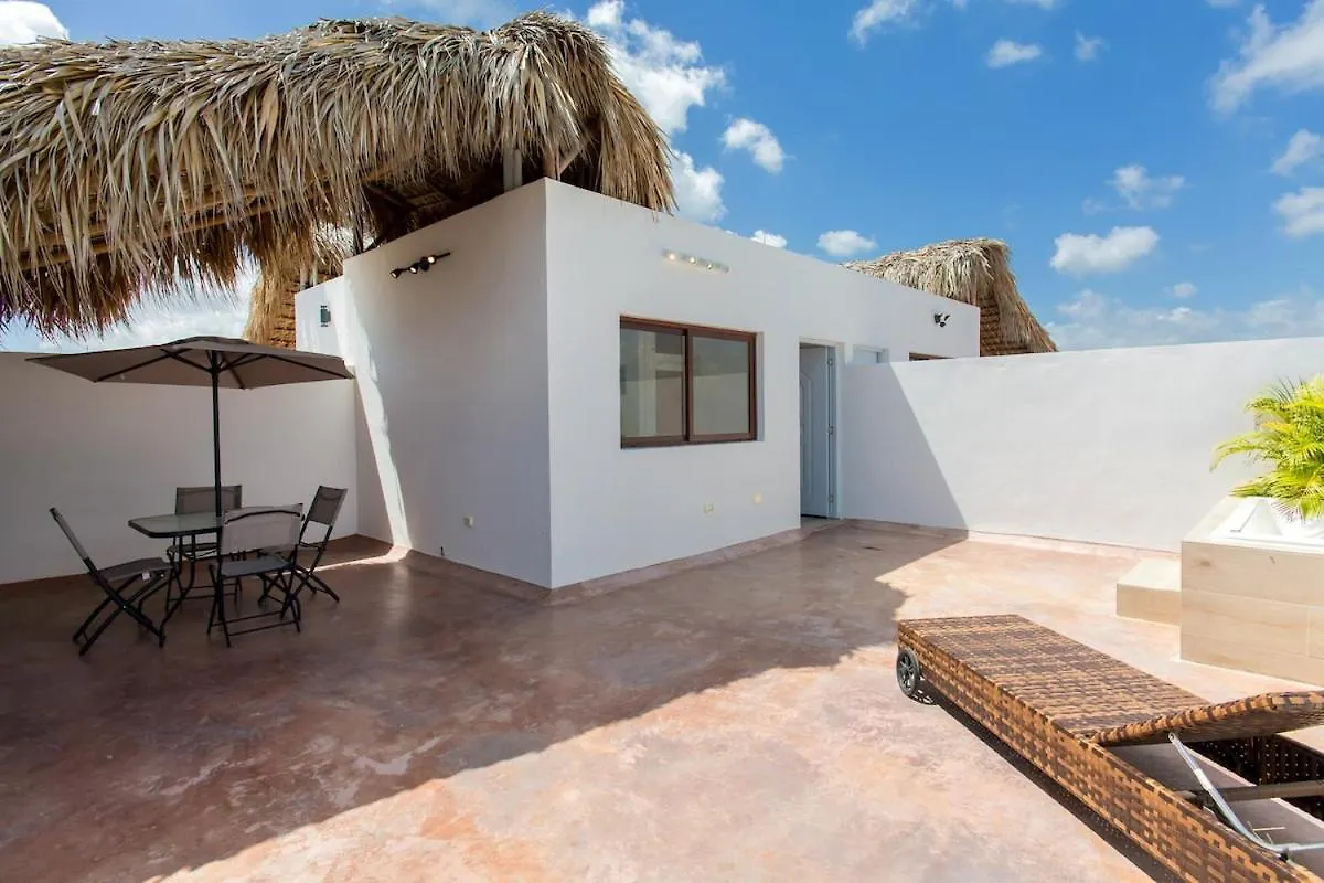 公寓 Penthouse With Jacuzzi In Ibiza, 蓬塔卡纳 多米尼加共和国